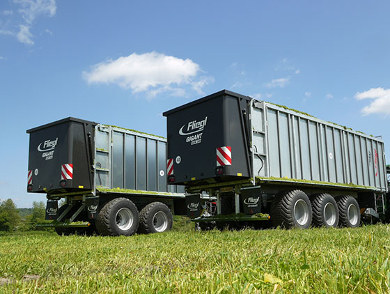 zwei graue fliegl abschiebewagen nebeneinander auf feld blauer himmel mit wolken