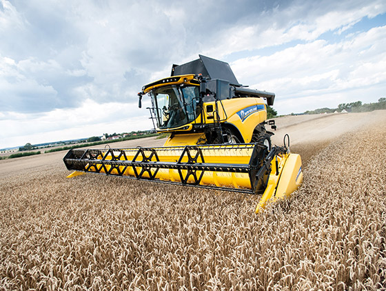 gelber new holland mähdrescher fährt über feld und erntet weizen